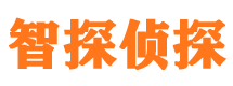 乌马河侦探公司